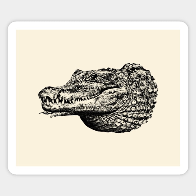 Crocodile Sticker by Guardi